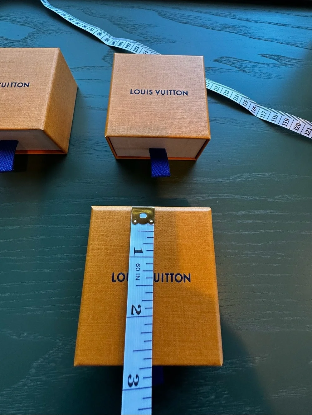 Louis Vuitton authentic louis
